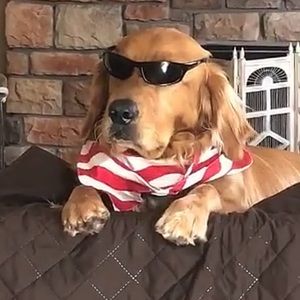 Meet your Posher, Robert